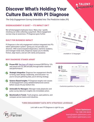 Diagnose 2 One-Pager