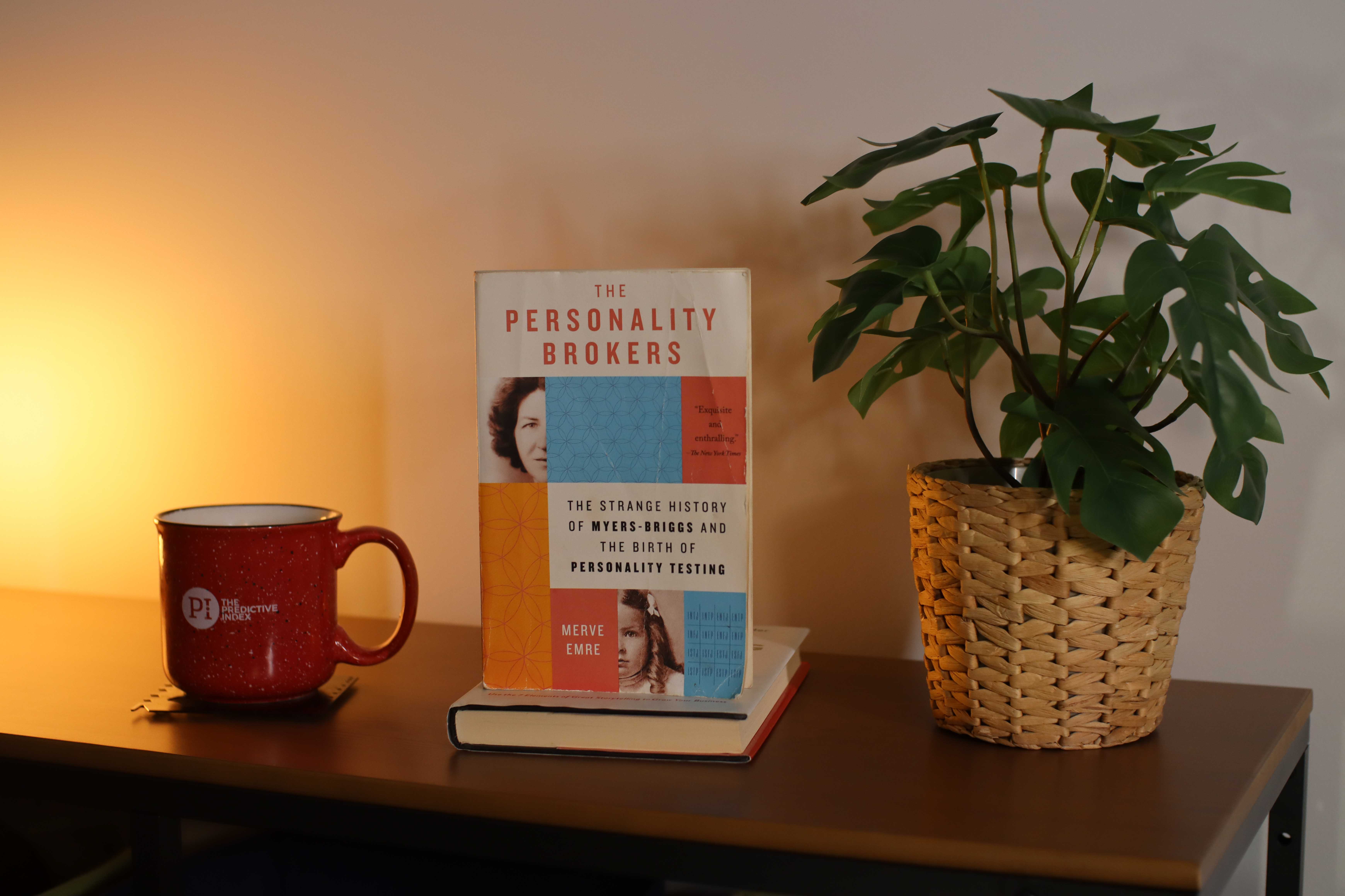 Book Review: The Personality Brokers.  Author: Merve Emre